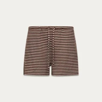 Chloe Stripe Shorts - Gradient Brown