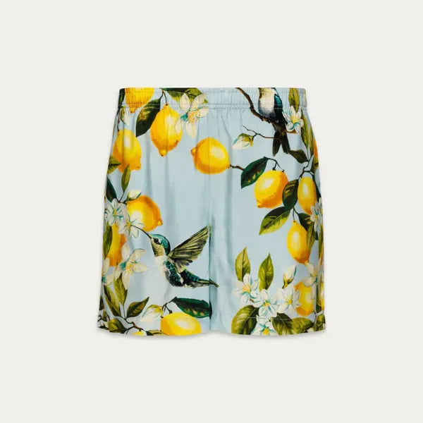 Lemon Hummingbird Shorts - Baby Blue Hummingbird